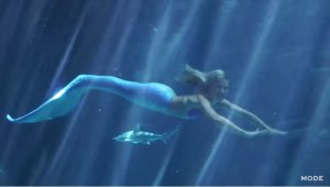 New: PADI Mermaid Program
