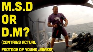 Master Diver vs. Dive Master