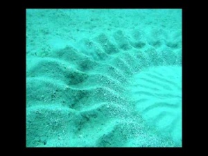 Mysterious Underwater Artwork Formations