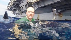 A Safe Swim With Sharks Takes A Bit Of Forethought – Not Excluding The Navy