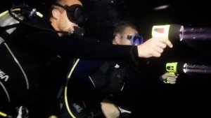 Night Dive The US Virigin Islands