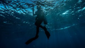 Night Diving – A Scary Experience?
