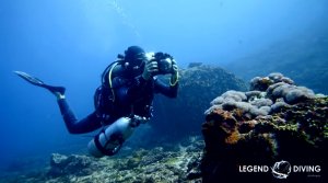 Diving Nusa Penida – Not Just Great Diving, But Vacationing Too