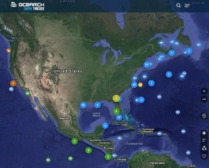 Shark & Marine Life Tracker ( Real Time Location Map) – Sharks, Alligators, Seals, Dolphins, Turtles, Whales & Great White Sharks