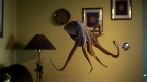 An Octopus As A Pet