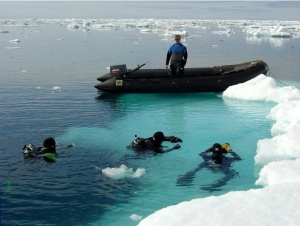 Try Something Different – Scuba Dive Antarctica