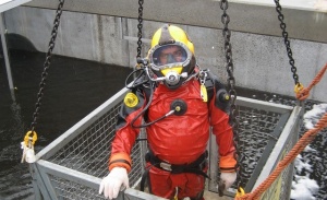 Have You Heard About Poo Diving?