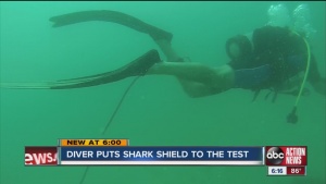 Protection From Sharks For Scuba Divers [Video]