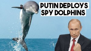 Navy Dolphins Deployed In War on Ukraine