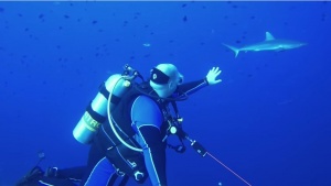 Tips For Diving With Reef Hooks? 