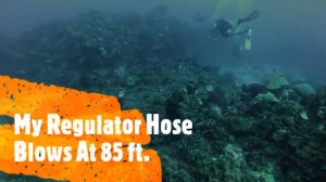 Regulator Hose Blowout at 85 Ft.