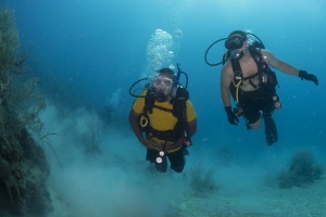 Scuba Diving To Burn Calories