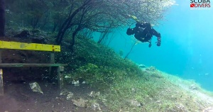 Scuba Dive Through An Underwater Park (Video)