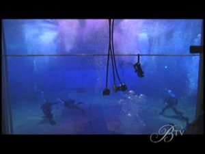 Scuba Divers as Stagehands For Cirque Du Soleil [Video]