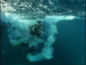 Scuba Divers Caught In Tsunami While Diving [Video]