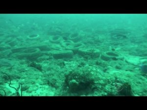 Scuba Divers Help Clean Up Failed Artificial Tire Reefs 