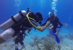Diving Career Advice for Divers