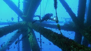 Scuba Diving Oil Platforms 