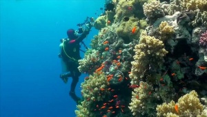 Scuba Diving The Red Sea (Egypt)