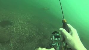 Scuba Fishing???? (video)