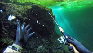 Fishing While Scuba Diving With Rod and Reel