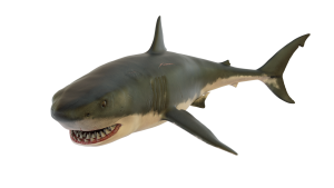 The Megalodon Is Not Our Most Likely Danger