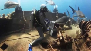 Shark Seeks Help From Divers 