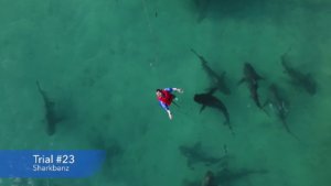 Sharkbanz For Protection From Sharks