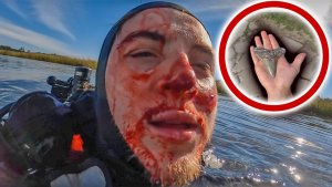Blackwater Diving For The $1M Megalodon Tooth