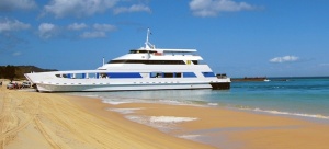 Choosing Liveaboard vs. Resort Diving Vacations