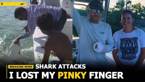 Small Sharks Can Be Dangerous Too