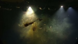 Squid’s Massive Ink Storm Clouds The Nautilus ROV