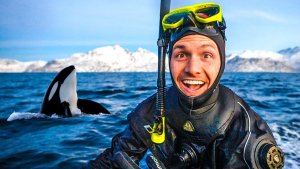 Swimming With Orcas – A Wild and Freezing Expedition In Norway