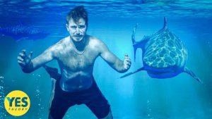 Swim With Sharks – Overcoming The Fear Of Sharks