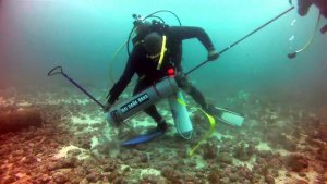The Elite Lionfish Squad Help With Aruba’s Lionfish Infestation 