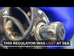 Diver Ditches Rig Finds It 3 Years Later In Working Condition