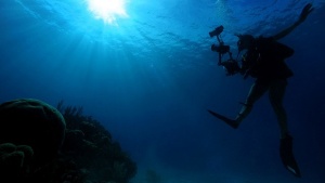 Things To Know About Our Oceans [Video]
