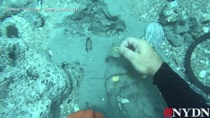 Treasure Diving Spanish Galleons in Florida