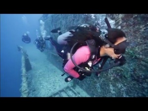 Underwater Art Galleries – A Trend? [Videos]