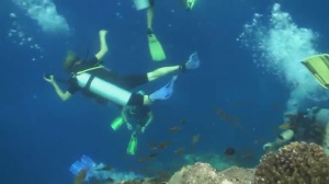 Diver Safety In Strong Currents [Videos]