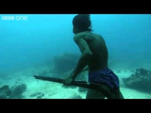 Underwater Fishing Without Scuba Gear [Video]