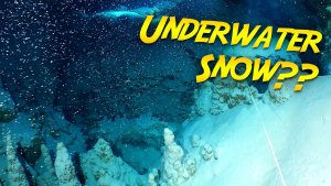 “Snowy” Underwater Ocean Cave Exploration