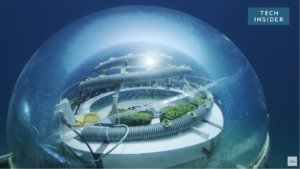 Underwater Gardening For Scuba Divers [Video]