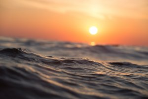 Five Adrift Scuba Divers Rescued After Six Hours and It Will Cost Them
