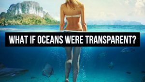 Imagine If Our Oceans Became As clear As Drinking Water.